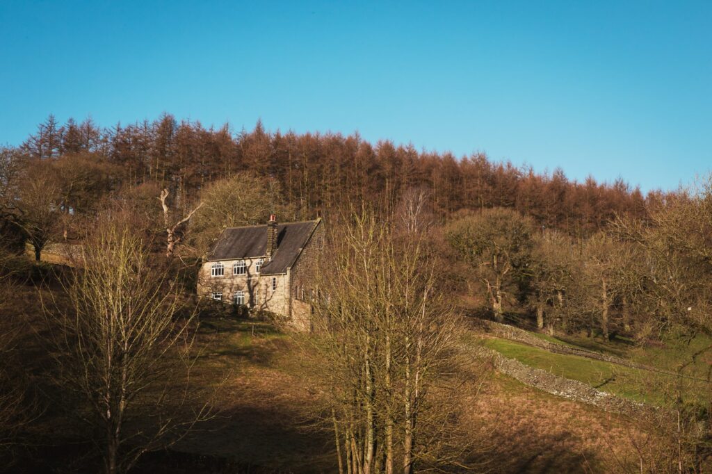 The cottage sits within the hillside with trees surrounding it in the morning sun.