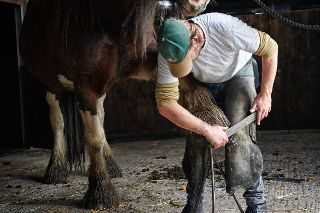 Blacksmith holding horse's foot