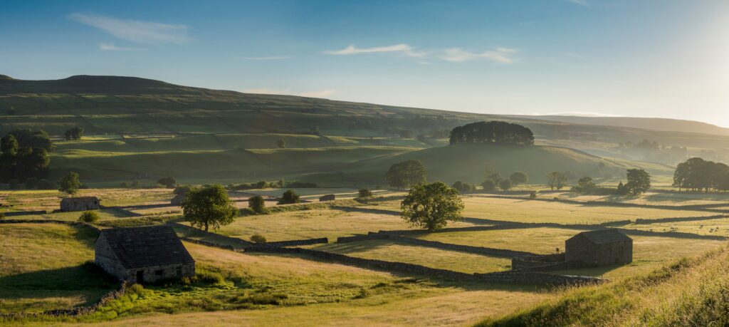 The rolling hills of the Yorkshire Dales, with old barns in the fields and trees across the landscape.