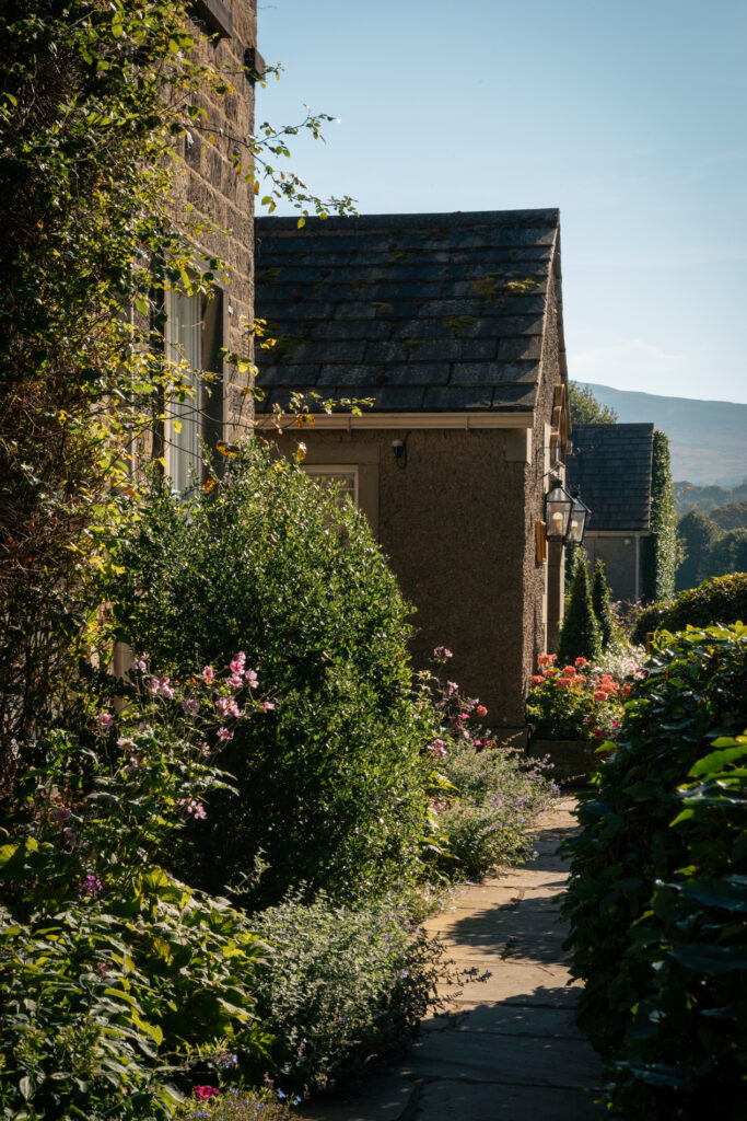 A walkway full of fresh summer blooms and grasses.