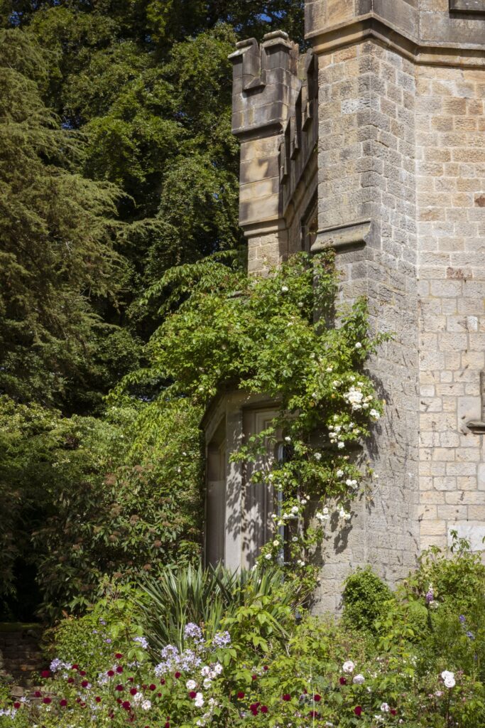The trees are climbing over the stone building with a small door underneath.