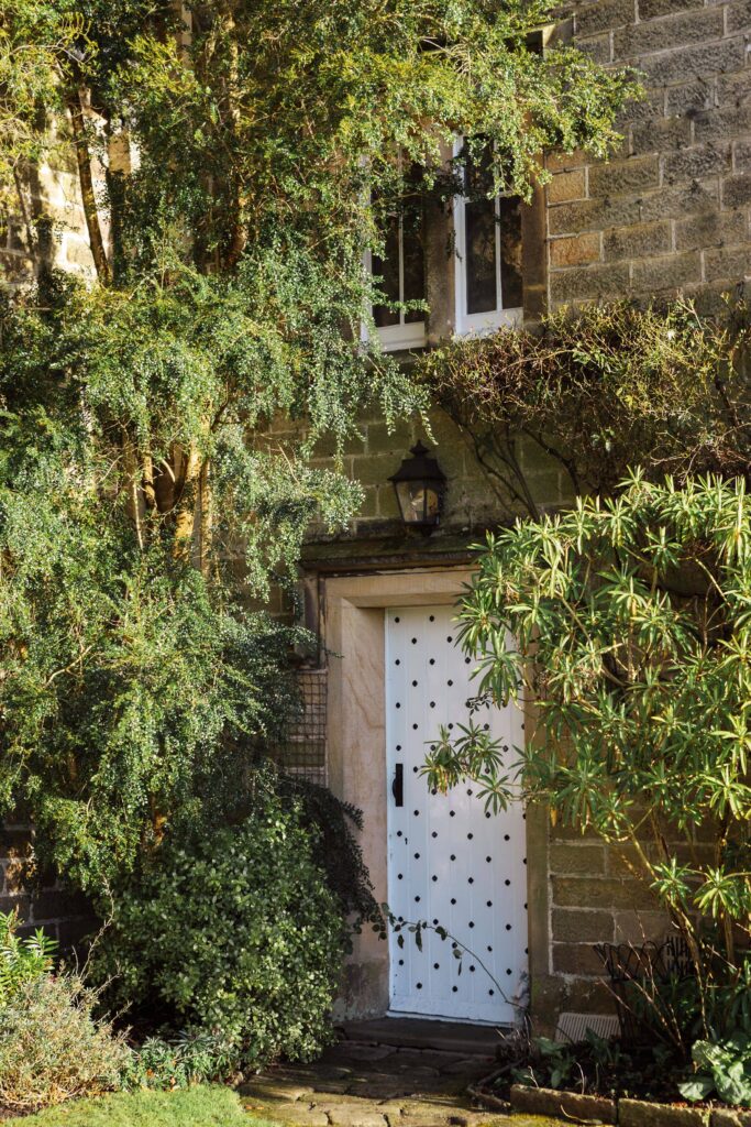 A secret door into the Hall surrounded by trees and ancient stone.