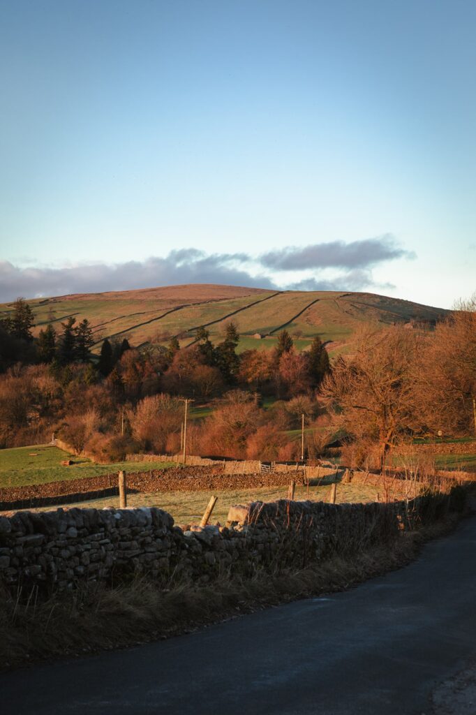 The hill side glowing vibrant orange in the afternoon sun.