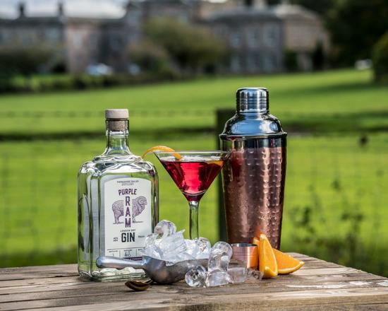 Gin and a glass with a cocktail shaker sits on a wooden bench with the dales in the background.