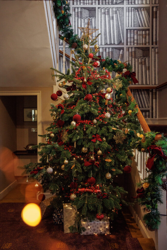 Christmas tree in hallway